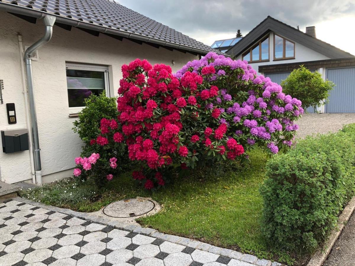 Schwarzwaldhirsch Appartement Unterkirnach Buitenkant foto